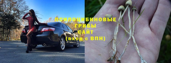 Альфа ПВП Горняк